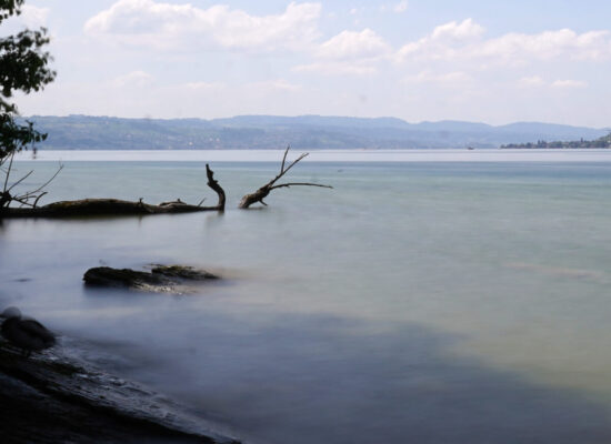 Frühlingsevent 2022, Samstag 14. Mai