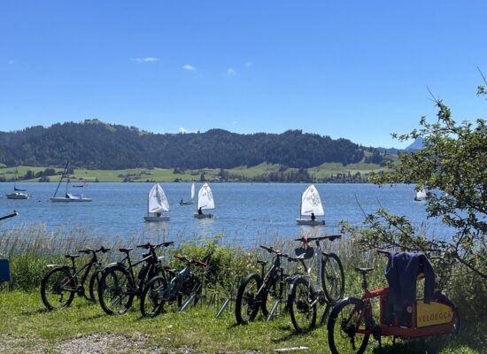 WVR Junioren Sihlsee und Life after the Optimist