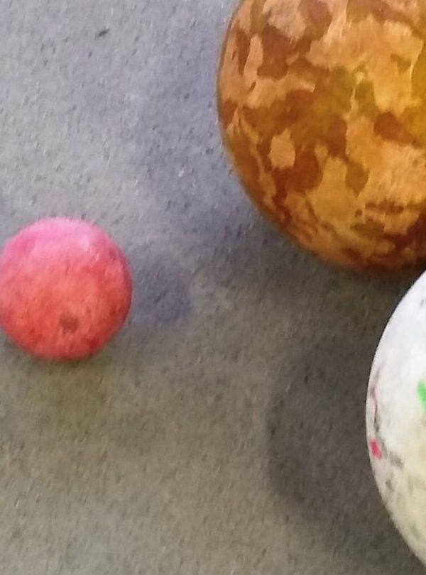 Auch auf dem Trockenen gut: WVR goes Boccia!