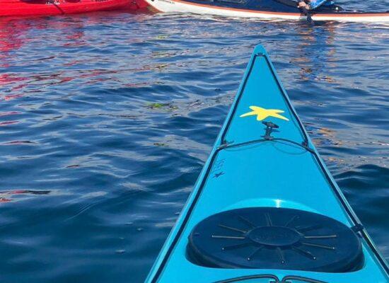 Programm 2026 mit Paddelsport