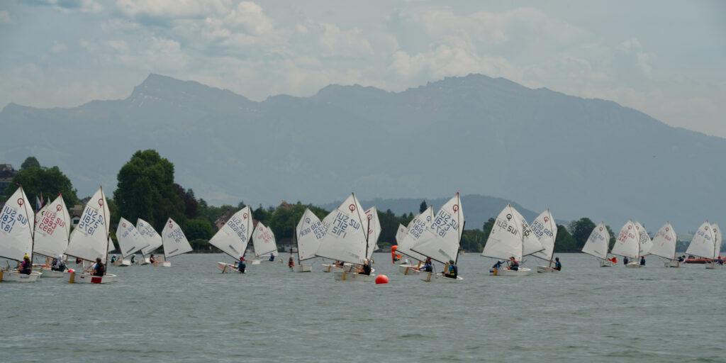 Gewusel auf dem See - wer hat Vortritt